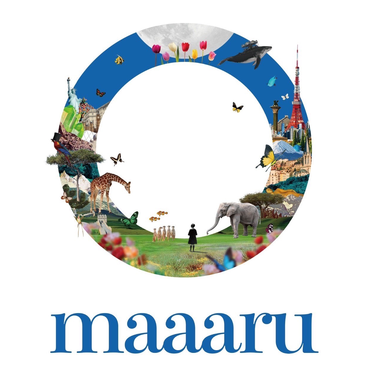 maaaru（日本寄付財団）